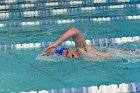 MSwim vs USCGA  Men’s Swimming & Diving vs US Coast Guard Academy. : MSwim, swimming